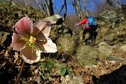 Anello dello Zucco Sileggio (1373 m) da Somana-Sonvico (400 m) il 4 gennaio 2017 - FOTOGALLERY